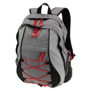AAA Fusion Backpack