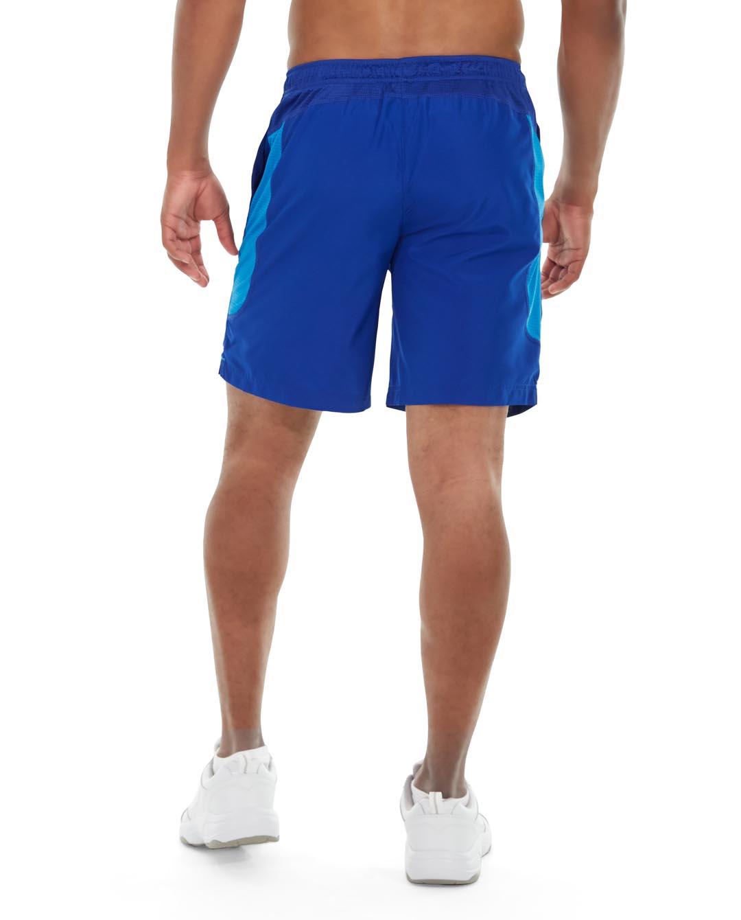 msh03-blue_back.jpg